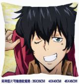 Hitman Reborn anime cushion