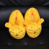 Pokemon slipper