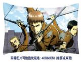 Attack on Titan anime cushion