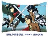 Attack on Titan anime cushion