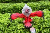pokemon anime plush doll