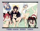 anime wall scroll