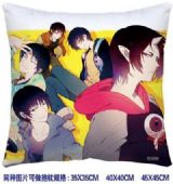 ainme cushion