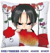 ainme cushion