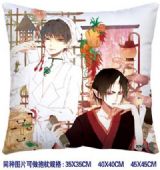 ainme cushion