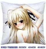 ainme cushion
