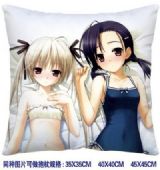 ainme cushion
