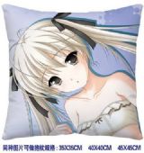 ainme cushion