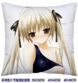 ainme cushion