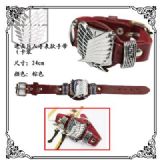 Attack on Titan anime watch