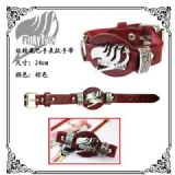Fairy Tail anime watch