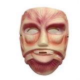 attack on titan anime mask