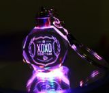 EXO anime keychain