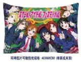 Love Live aime cushion