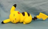 pokemon anime saving box