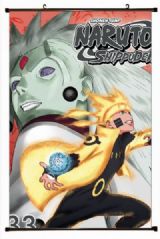 Naruto Plastic pole cloth painting Wall Scroll 60X