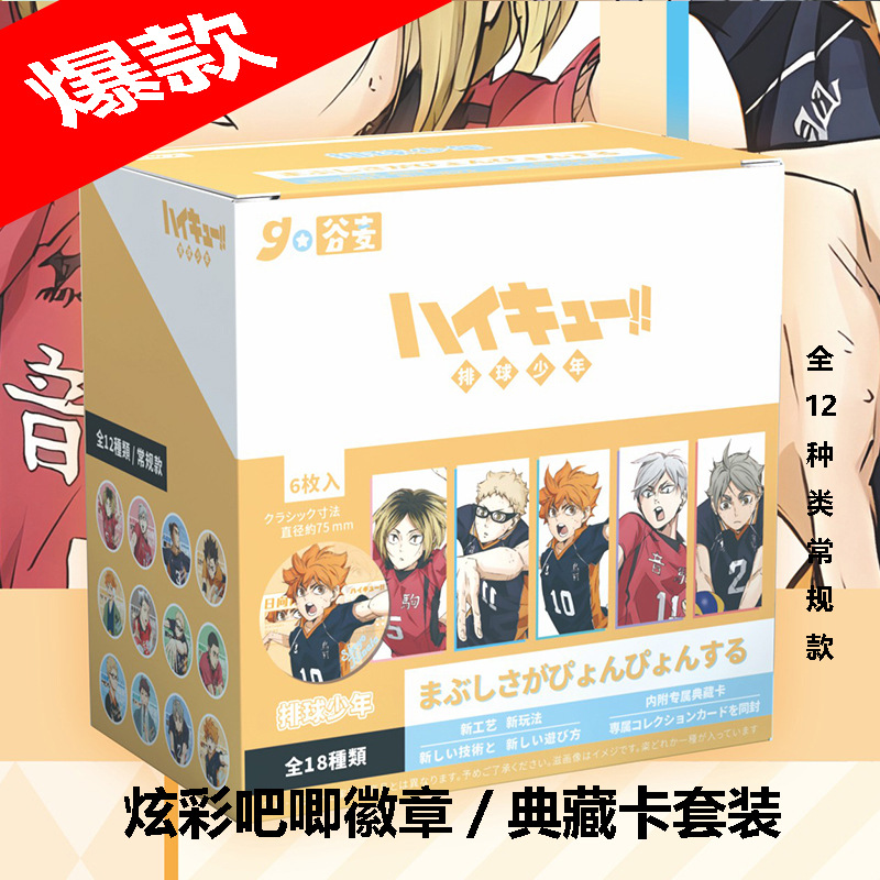 Haikyuu anime pin 75mm 6pcs a set