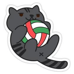 Haikyuu anime car sticker