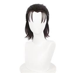 Attack on Titan anime wig