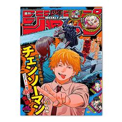 chainsaw man anime painting 30x40cm(12x16inches)