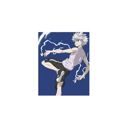 Hunter x Hunter anime fabric poster 20*30cm