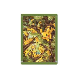 Pokemon anime acrylic puzzle